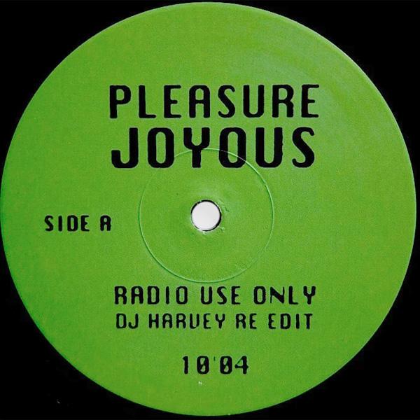 PLEASURE, Joyous ( DJ Harvey Re-Edit )