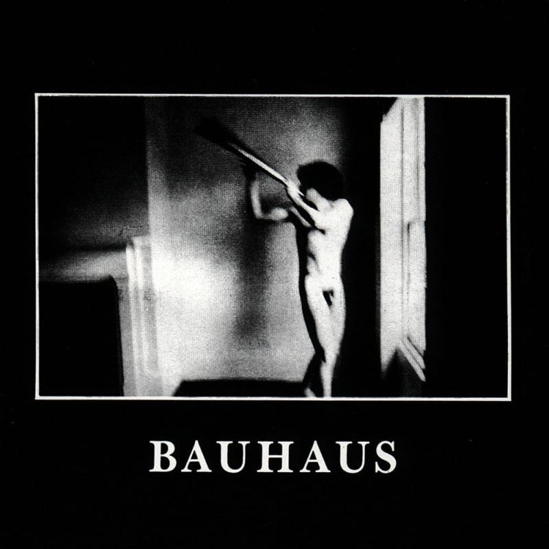 Bauhaus, In The Flat Field
