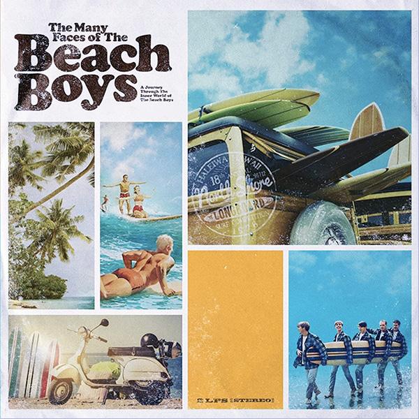VARIOUS ARTISTS / The Beach Boys, The Many Faces of The Beach Boys