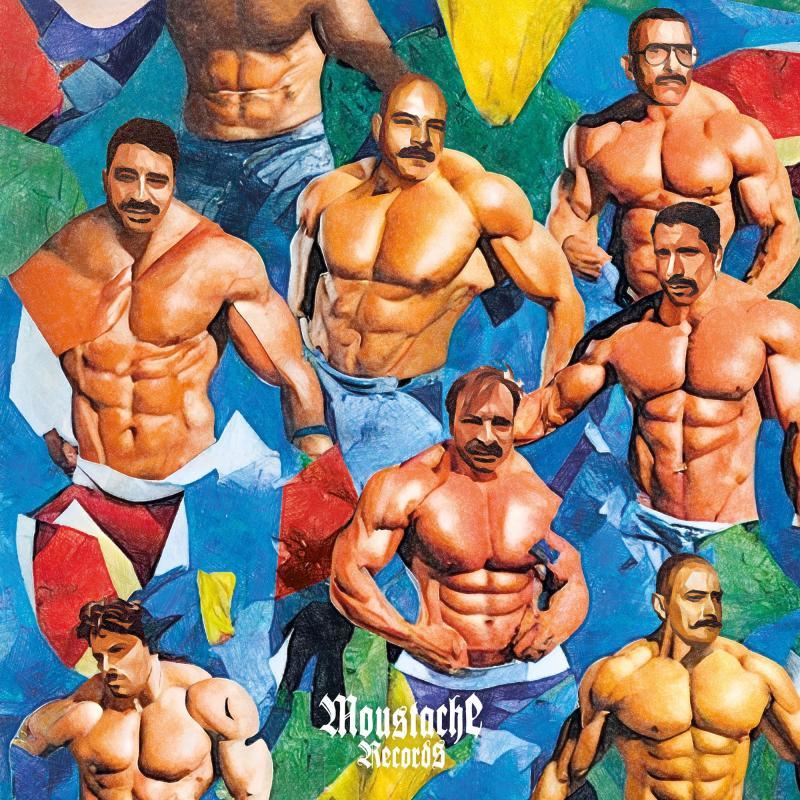 VARIOUS ARTISTS, You Can Trust A Man With A Moustache Vol.5