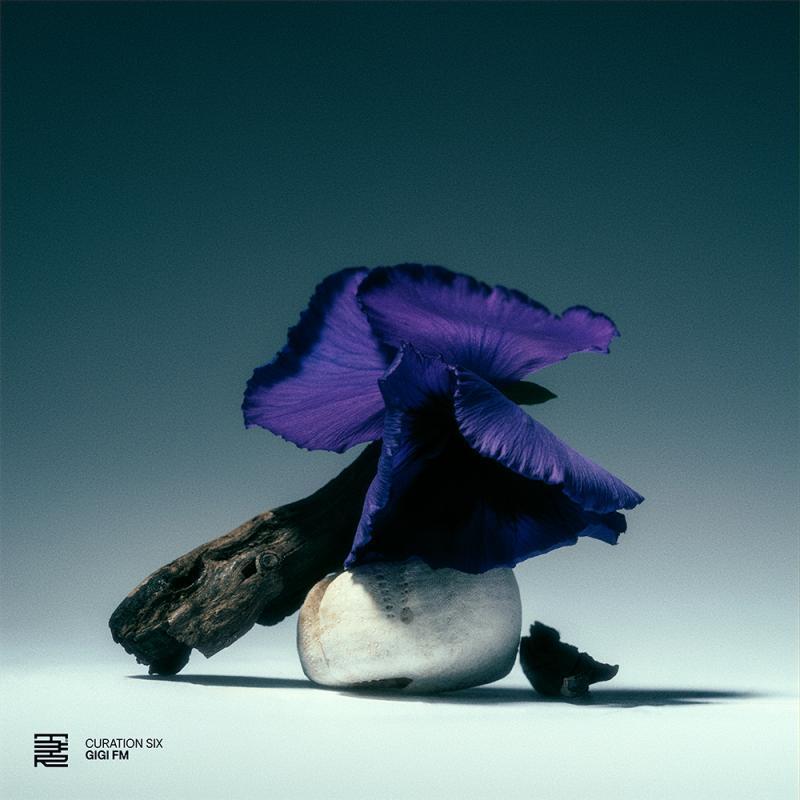 VARIOUS ARTISTS / Gigi Fm, Curation Six: GiGi FM