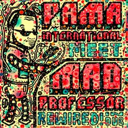 Pama International Meet Mad Professor, Rewired! In Dub