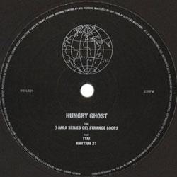 HUNGRY GHOST, ( I Am A Series Of ) Strange Loops