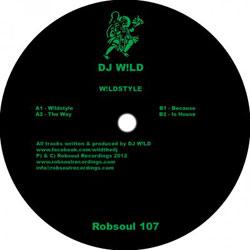 DJ W!LD, Wildstyle