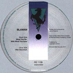 Blawan, What You Do With WHat You Have