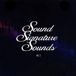 Theo Parrish Rotating Assembly, Sound Signature Sounds Vol 2