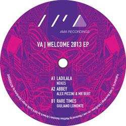 VARIOUS ARTISTS, Welcome 2013 Ep