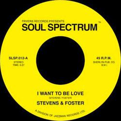 Stevens & Foster, I Want To Be Love