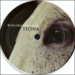 Alex Picone / IFM / Life's Track, Bosconi Stallions Teona