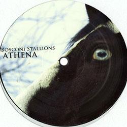 THE OLIVERWHO FACTORY / Nick Anthony Simoncino / Nicholas, Bosconi Stallions Athena
