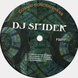 DJ SPIDER, Cosmic Conciousness