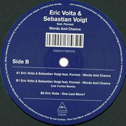 Eric Volta & Sebastian Voig, Words And Chance