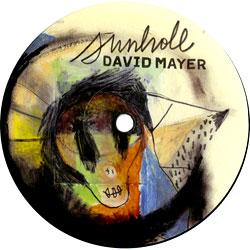 DAVID MAYER, Sunhole / Lead