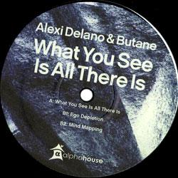 ALEXI DELANO & BUTANE, What You See Is All There Is Ep