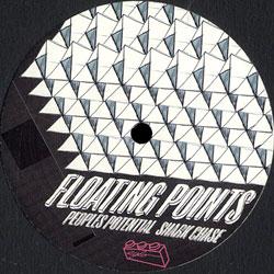 FLOATING POINTS, People's Potential