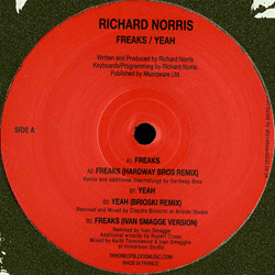 Richard Norris, Freaks/Yeah