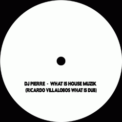 DJ PIERRE, What Is House Muzik ( R. Villalobos Remix )