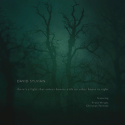 David Sylvian, There's A Light That Enters Houses With No Other House In Sight