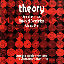 BEN SIMS, Theory Of Completion Volume One