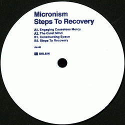 Micronism, Steps To Recovery