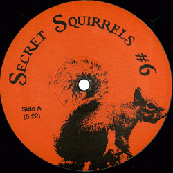 Secret Squirrels, Secret Squirrels #6