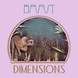 Baast, Dimensions