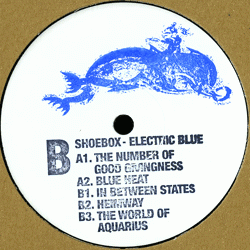 Shoebox, Electric Blue